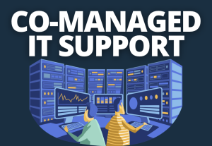 Co-Managed IT Support